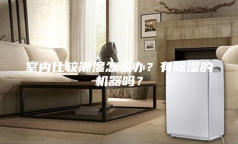 室內(nèi)比較潮濕怎么辦？有除濕的機器嗎？