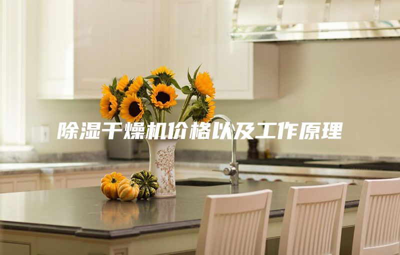 除濕干燥機價格以及工作原理