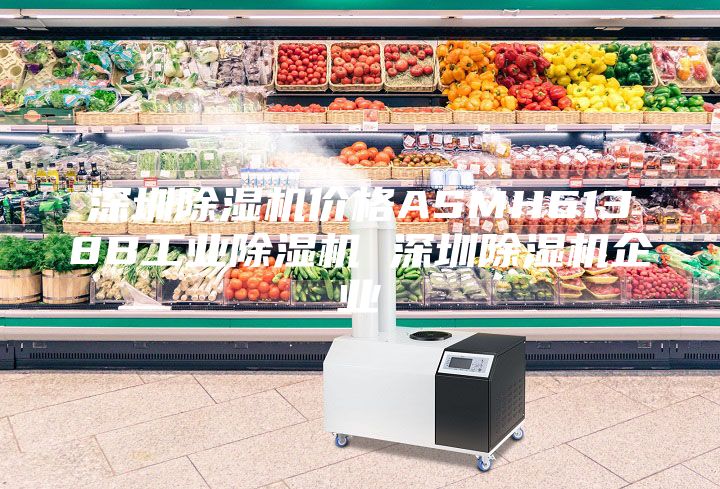 深圳除濕機(jī)價(jià)格ASMH6138B工業(yè)除濕機(jī) 深圳除濕機(jī)企業(yè)