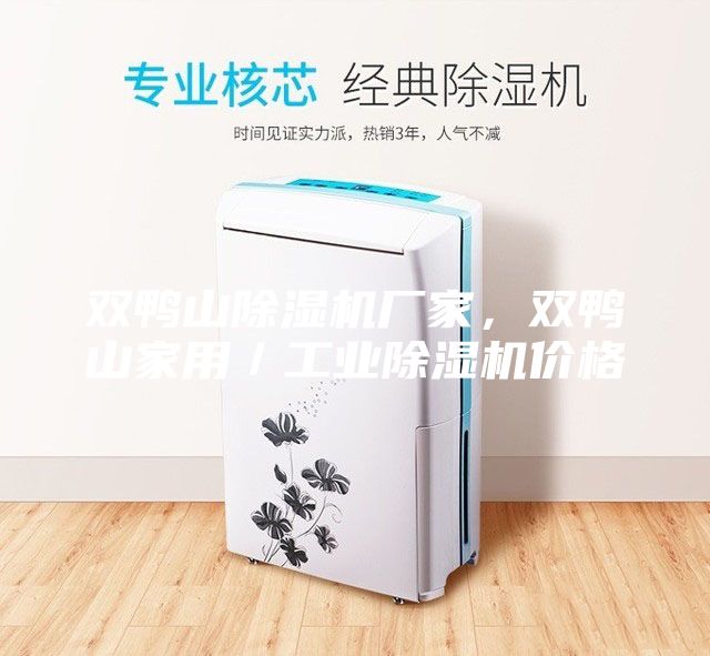 雙鴨山除濕機(jī)廠家，雙鴨山家用／工業(yè)除濕機(jī)價(jià)格