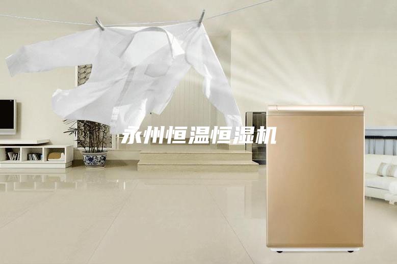 永州恒溫恒濕機(jī)