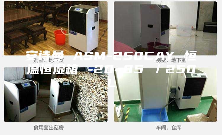 安詩曼 ASM-250CAY 恒溫恒濕箱 -20~85℃／250L