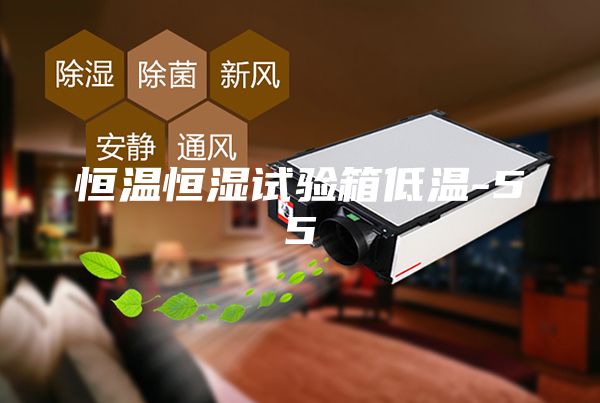 恒溫恒濕試驗(yàn)箱低溫-55℃