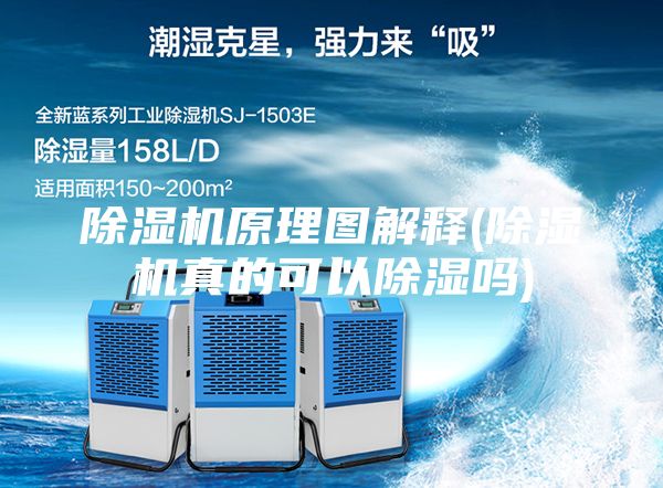 除濕機(jī)原理圖解釋(除濕機(jī)真的可以除濕嗎)