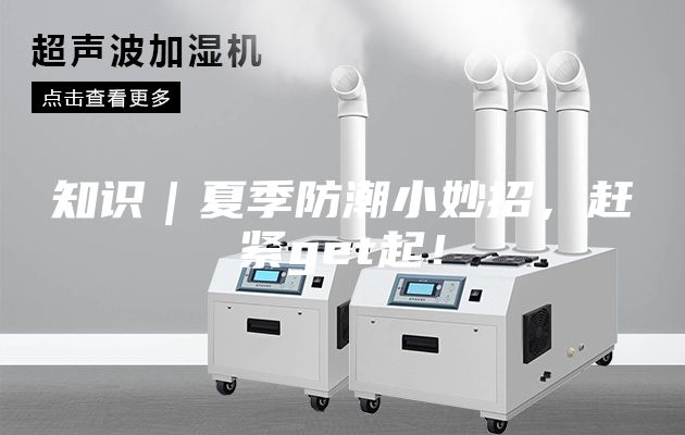 知識(shí)｜夏季防潮小妙招，趕緊get起！