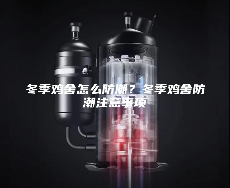 冬季雞舍怎么防潮?冬季雞舍防潮注意事項