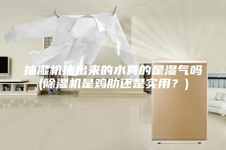 抽濕機(jī)抽出來的水真的是濕氣嗎(除濕機(jī)是雞肋還是實用?)