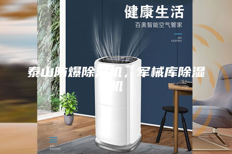 泰山防爆除濕機，軍械庫除濕機