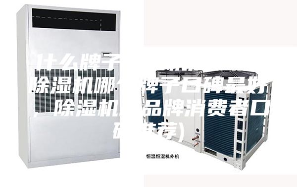 什么牌子除濕機質量好(除濕機哪個牌子口碑最好，除濕機的品牌消費者口碑推薦)