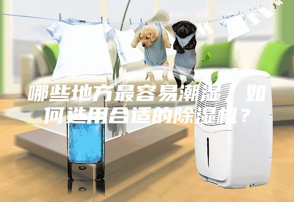 哪些地方最容易潮濕,如何選用合適的除濕機?