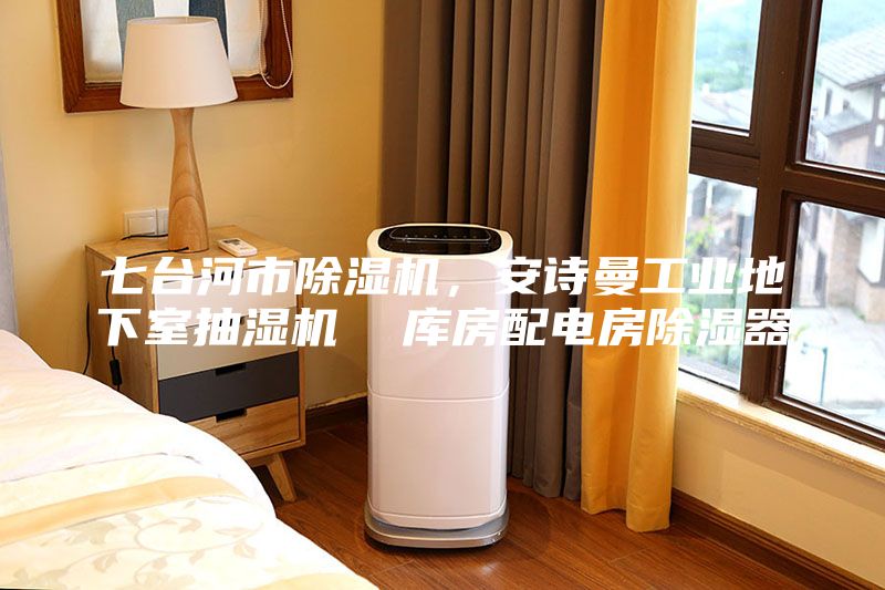 七臺河市除濕機，安詩曼工業地下室抽濕機  庫房配電房除濕器