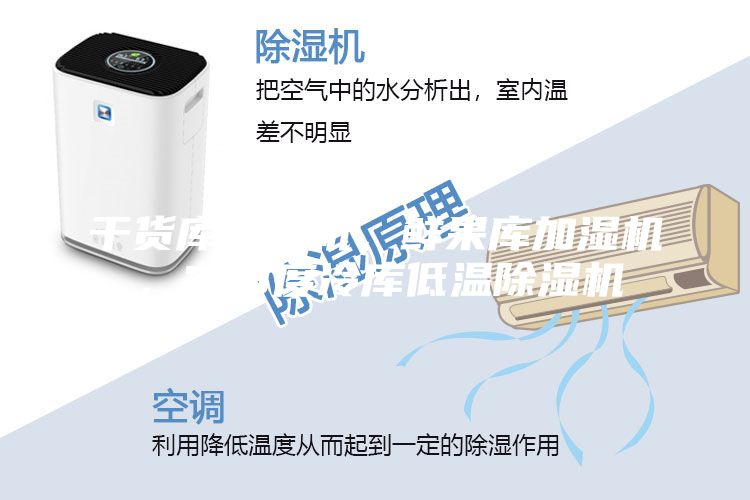 干貨庫除濕機,鮮果庫加濕機,2-8度冷庫低溫除濕機
