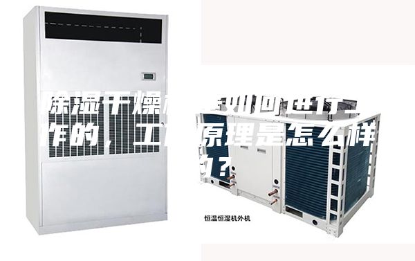 除濕干燥機是如何進行工作的，工作原理是怎么樣的？