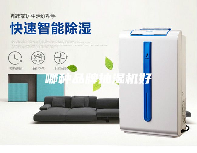哪種品牌抽濕機(jī)好