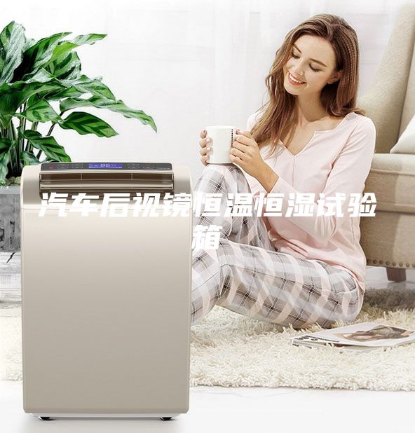 汽車(chē)后視鏡恒溫恒濕試驗(yàn)箱