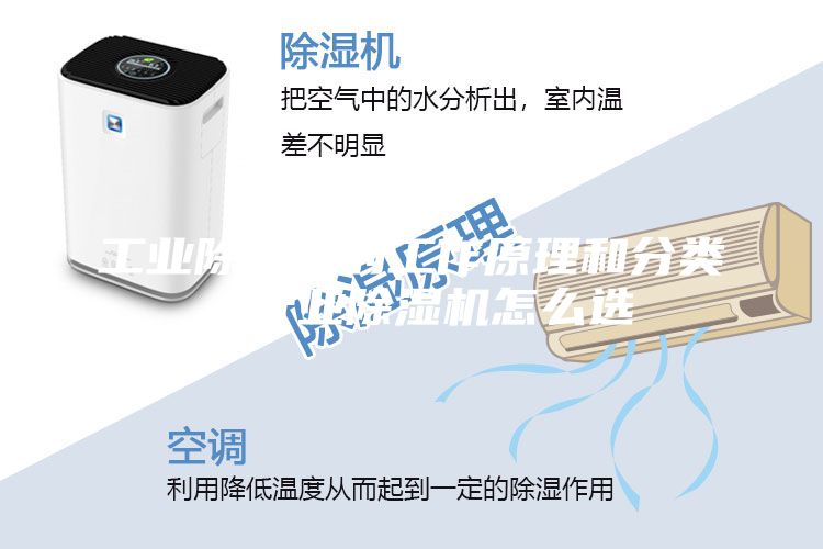 工業除濕機的工作原理和分類，行業除濕機怎么選
