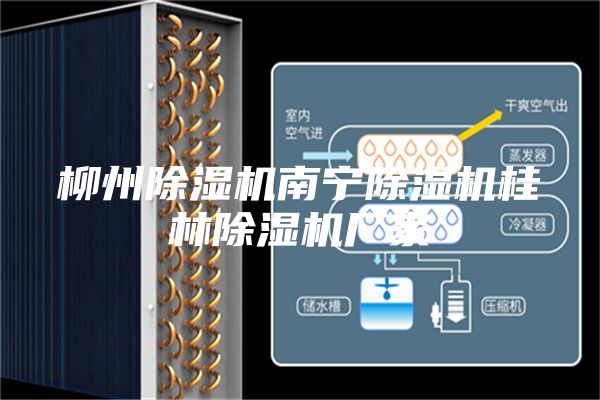 柳州除濕機南寧除濕機桂林除濕機廠家