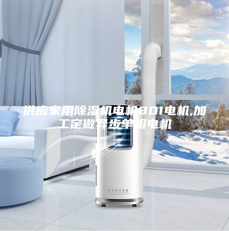 供應(yīng)家用除濕機電機801電機,加工定做異步單相電機