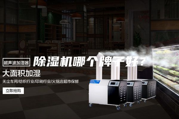 除濕機哪個牌子好?