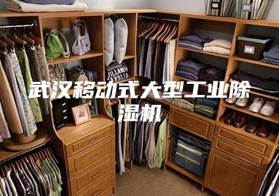 武漢移動(dòng)式大型工業(yè)除濕機(jī)