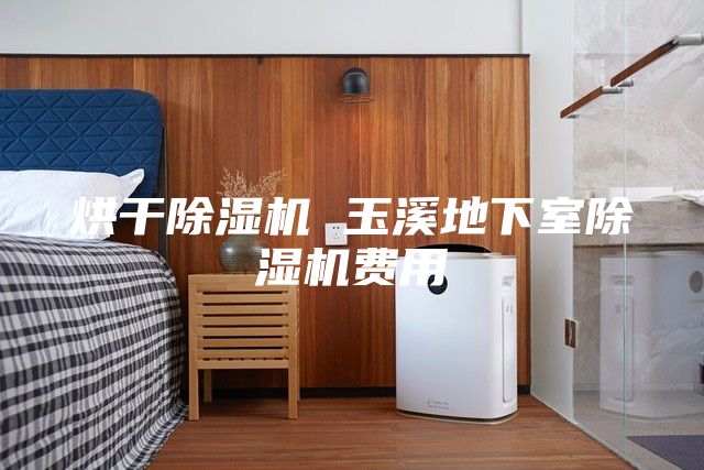 烘干除濕機 玉溪地下室除濕機費用