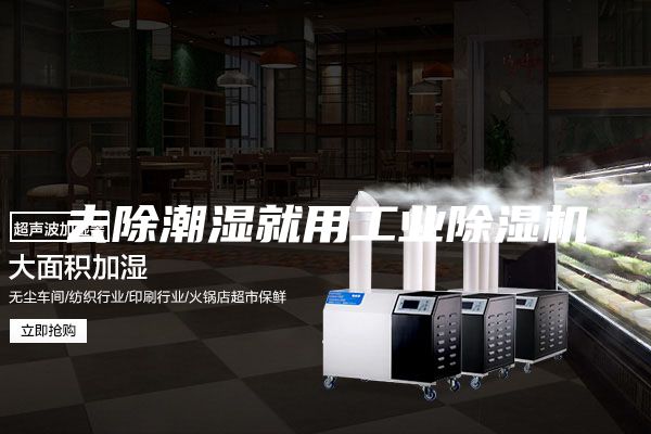 去除潮濕就用工業(yè)除濕機(jī)
