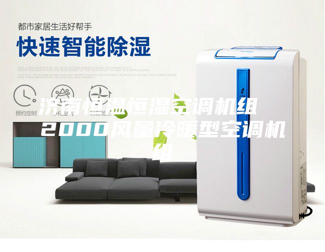 濟(jì)南恒溫恒濕空調(diào)機(jī)組  2000風(fēng)量冷暖型空調(diào)機(jī)組