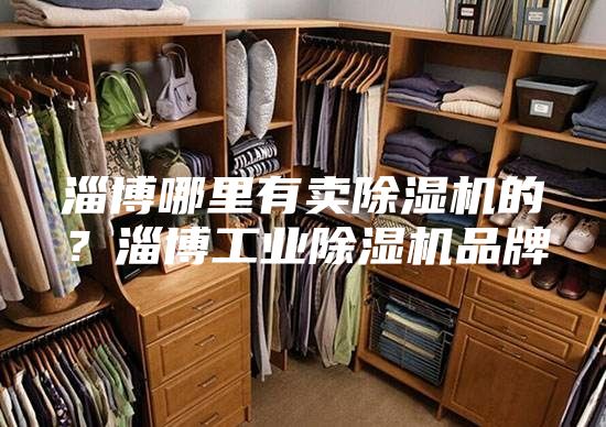 淄博哪里有賣除濕機的?淄博工業(yè)除濕機品牌