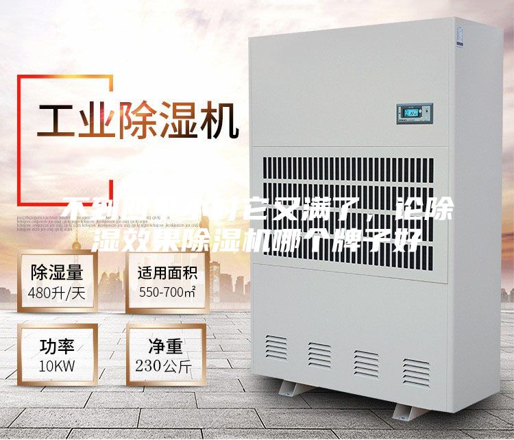 不到四個(gè)小時(shí)它又滿(mǎn)了，論除濕效果除濕機(jī)哪個(gè)牌子好