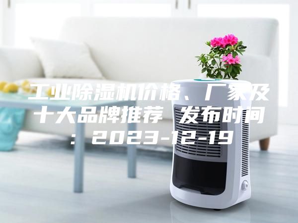 工業(yè)除濕機價格、廠家及十大品牌推薦 發(fā)布時間:2023-12-19