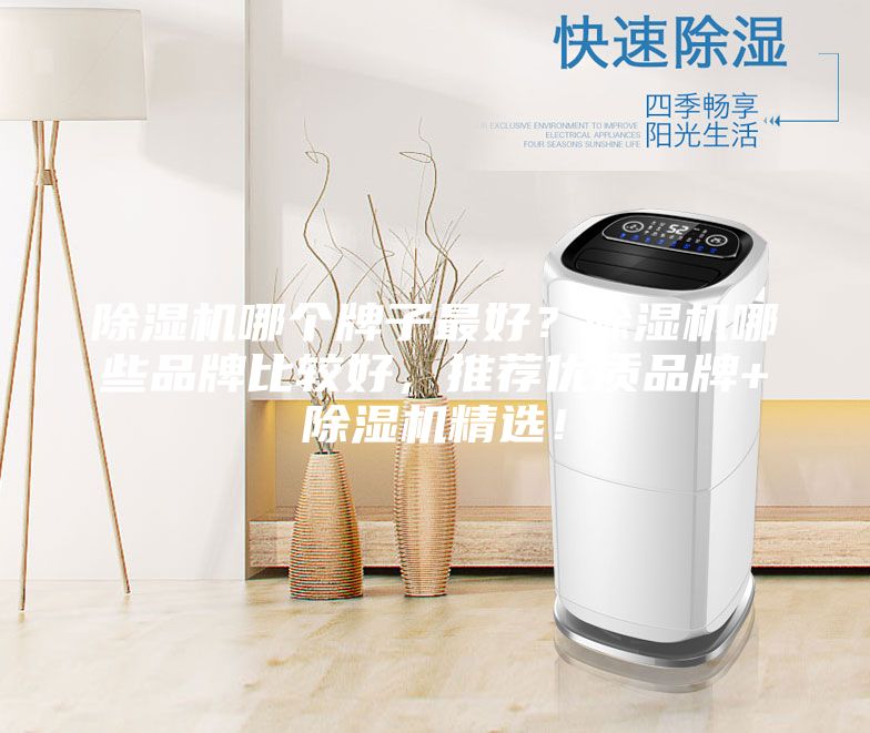 除濕機(jī)哪個(gè)牌子最好？除濕機(jī)哪些品牌比較好，推薦優(yōu)質(zhì)品牌+除濕機(jī)精選！