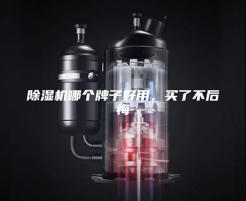 除濕機(jī)哪個(gè)牌子好用，買了不后悔