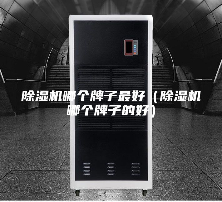 除濕機(jī)哪個牌子最好（除濕機(jī)哪個牌子的好）