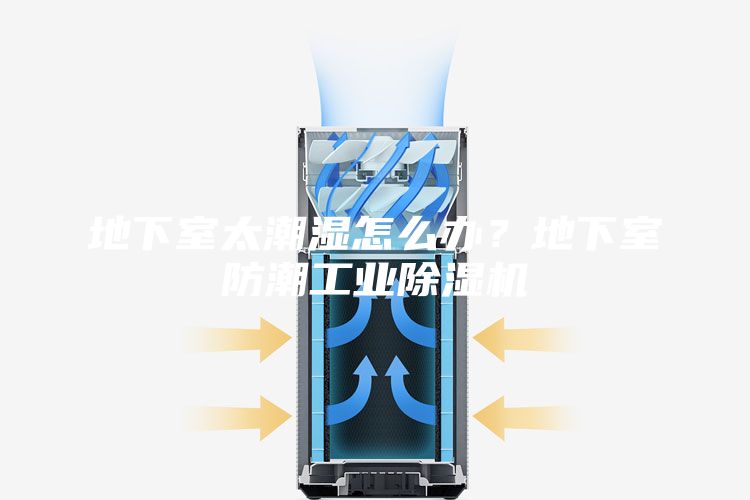 地下室太潮濕怎么辦？地下室防潮工業除濕機
