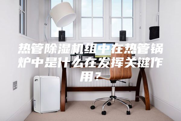 熱管除濕機(jī)組中在熱管鍋爐中是什么在發(fā)揮關(guān)鍵作用？