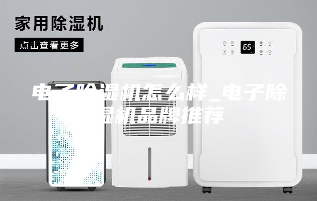 電子除濕機怎么樣_電子除濕機品牌推薦