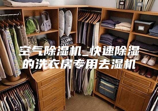 空氣除濕機_快速除濕的洗衣房專用去濕機