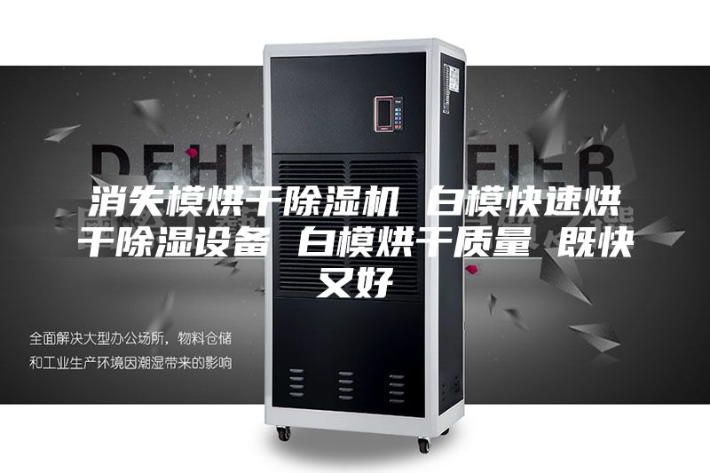 消失模烘干除濕機 白?？焖俸娓沙凉裨O備 白模烘干質量 既快又好