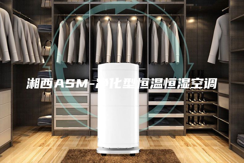 湘西ASM-凈化型恒溫恒濕空調
