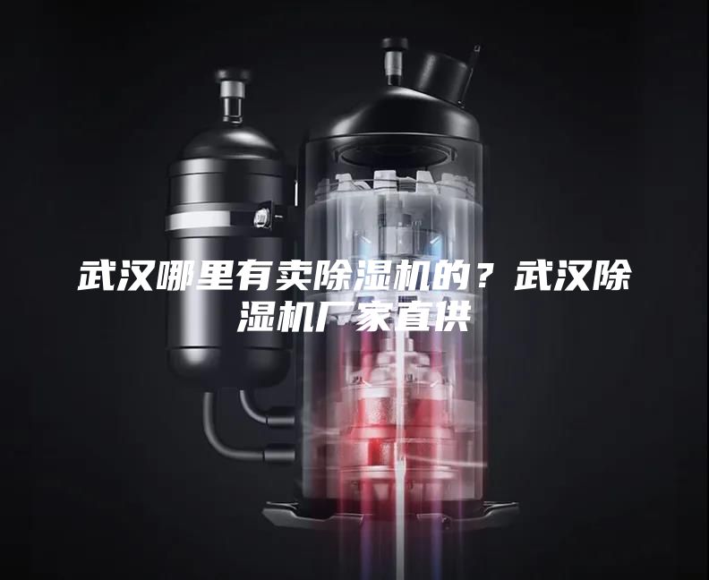 武漢哪里有賣除濕機(jī)的？武漢除濕機(jī)廠家直供