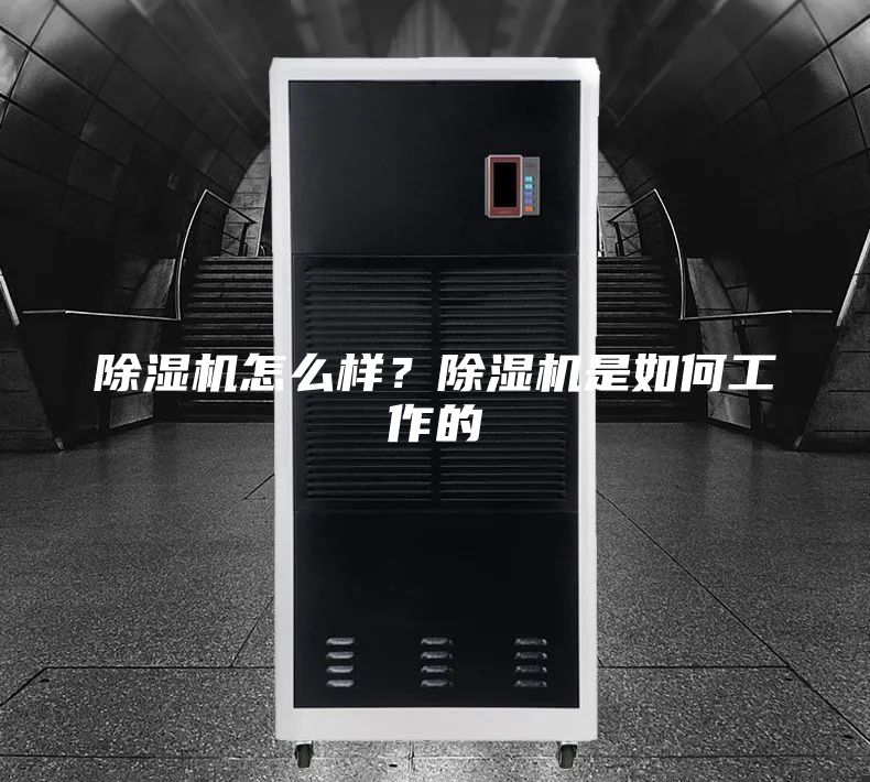除濕機怎么樣？除濕機是如何工作的