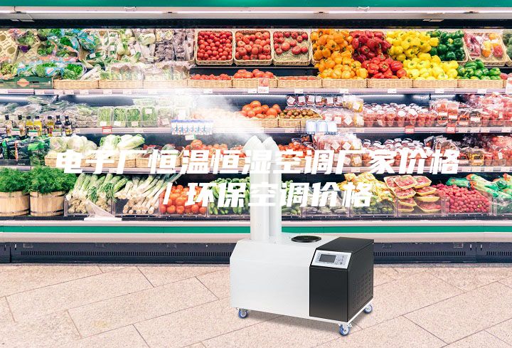 電子廠恒溫恒濕空調(diào)廠家價格／環(huán)保空調(diào)價格