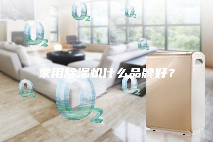 家用除濕機什么品牌好？