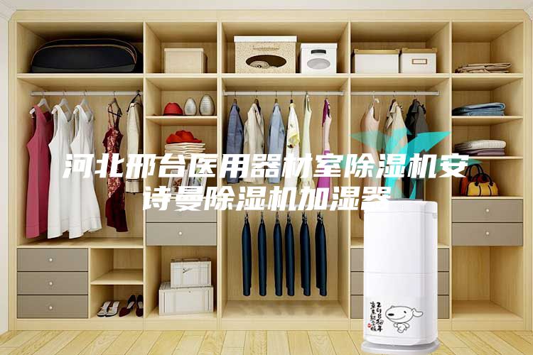 河北邢臺醫(yī)用器材室除濕機安詩曼除濕機加濕器