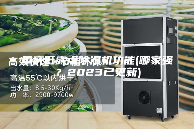 重慶低露點(diǎn)除濕機(jī)功能(哪家強(qiáng)？2023已更新)