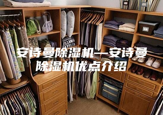 安詩(shī)曼除濕機(jī)—安詩(shī)曼除濕機(jī)優(yōu)點(diǎn)介紹