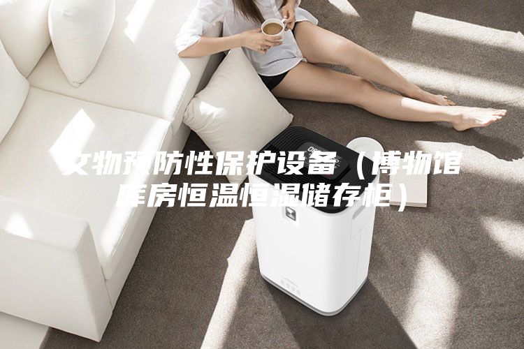 文物預(yù)防性保護(hù)設(shè)備(博物館庫(kù)房恒溫恒濕儲(chǔ)存柜)