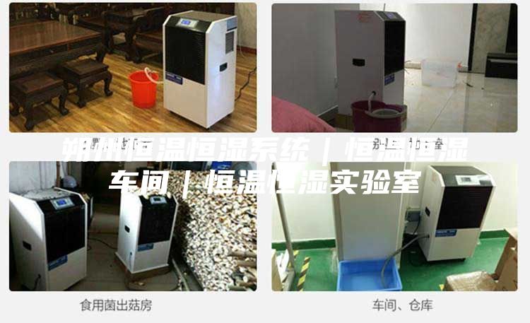 朔州恒溫恒濕系統｜恒溫恒濕車間｜恒溫恒濕實驗室