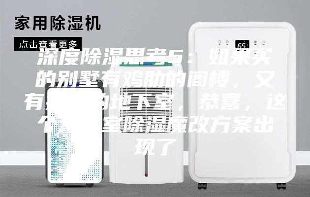 深度除濕思考5：如果買的別墅有雞肋的閣樓，又有操心的地下室，恭喜，這個地下室除濕魔改方案出現了