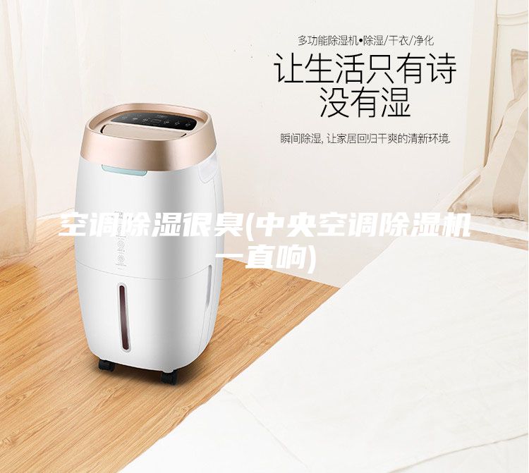 空調除濕很臭(中央空調除濕機一直響)